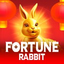 Fortune Rabbit